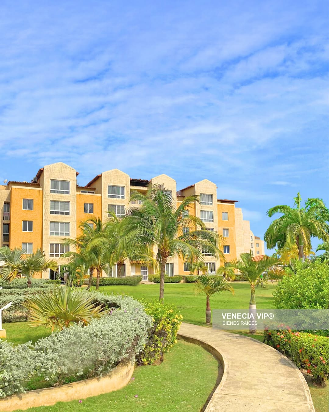 SaveClip.App_469235826_17941877219931594_3500380093645249854_n