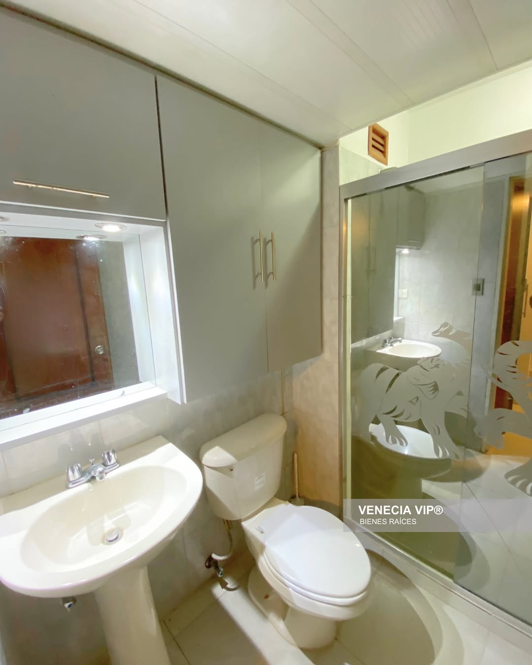 SaveClip.App_469281708_17941877195931594_1629208810390647721_n