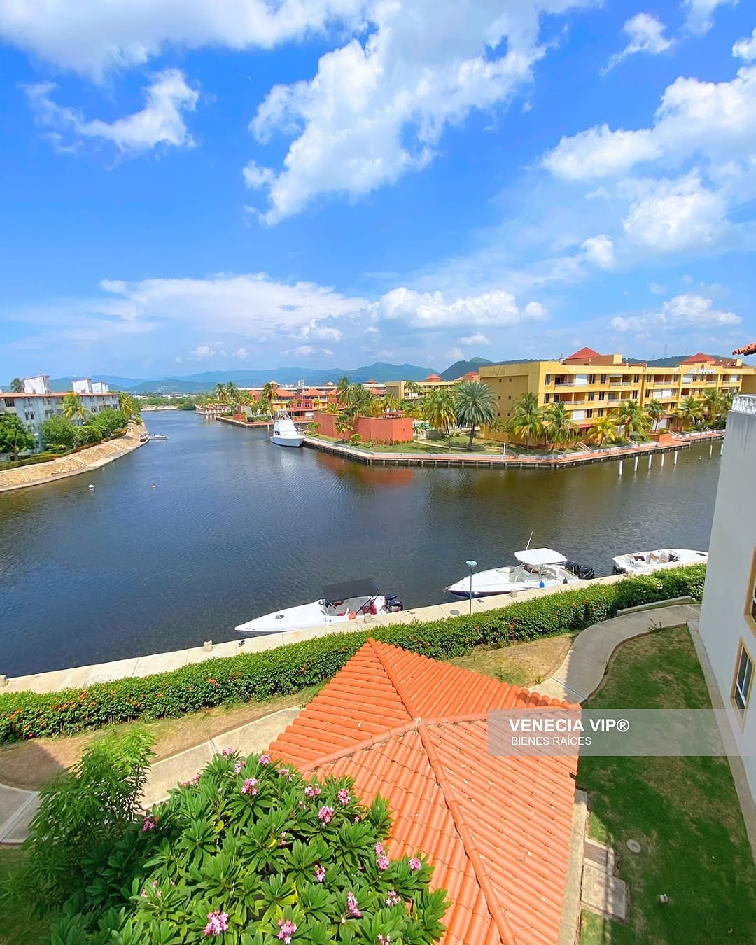 SaveClip.App_475956069_17949859982931594_4203690745426911764_n