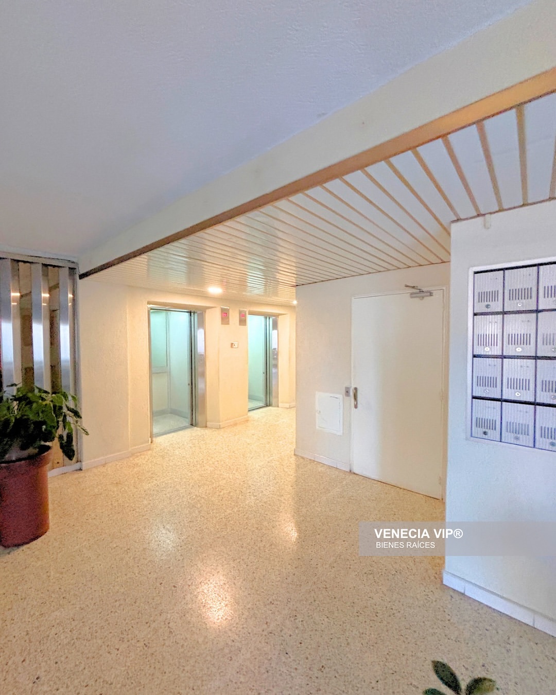 SaveClip.App_481008842_17952308747931594_3360693075869095264_n