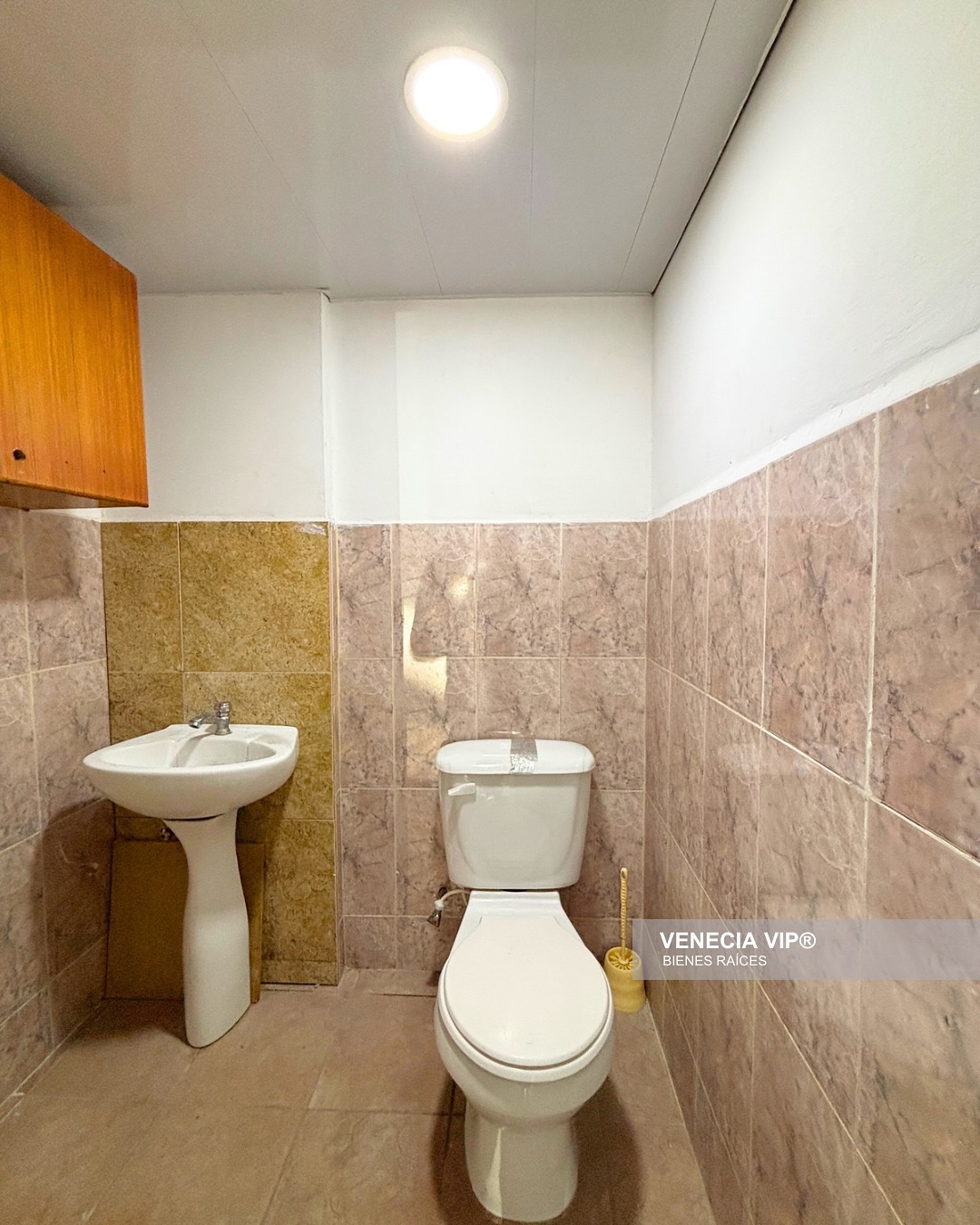 SaveClip.App_482118231_17952533750931594_9065544027913718719_n