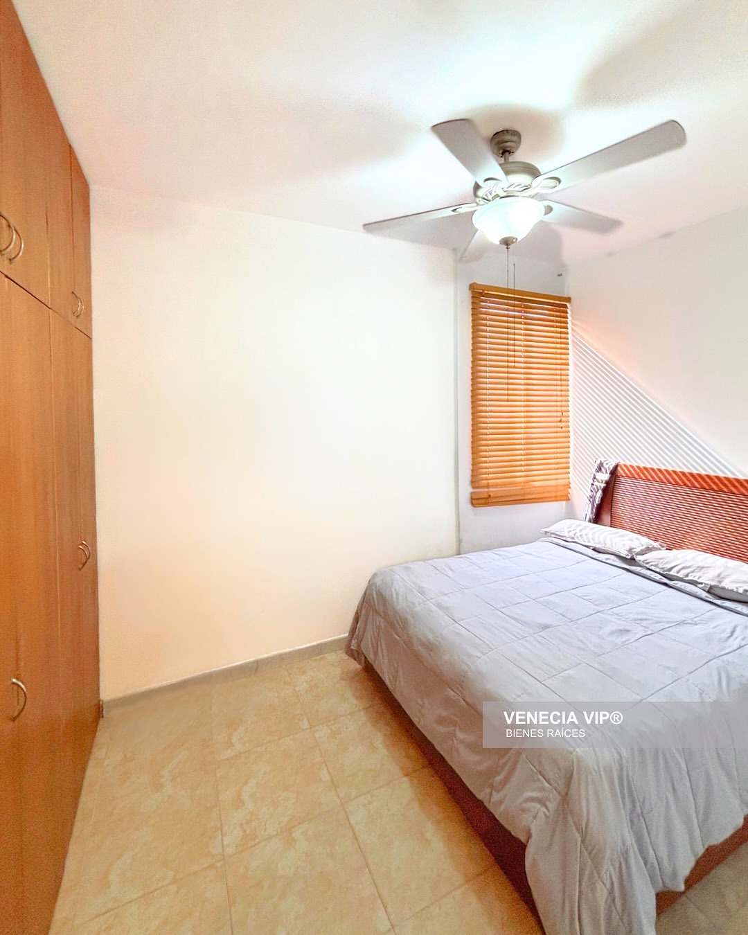 SaveClip.App_483647303_17954148443931594_6278814954129935090_n