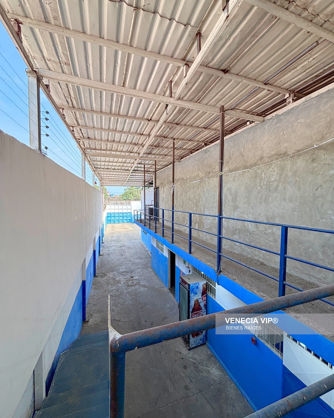 SaveClip.App_484540465_17954909483931594_4226101778634817882_n