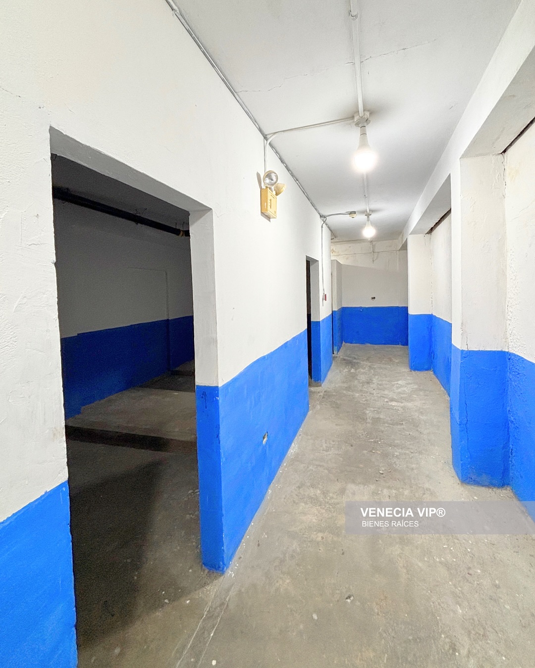 SaveClip.App_484832843_17954909465931594_6425828066492478137_n