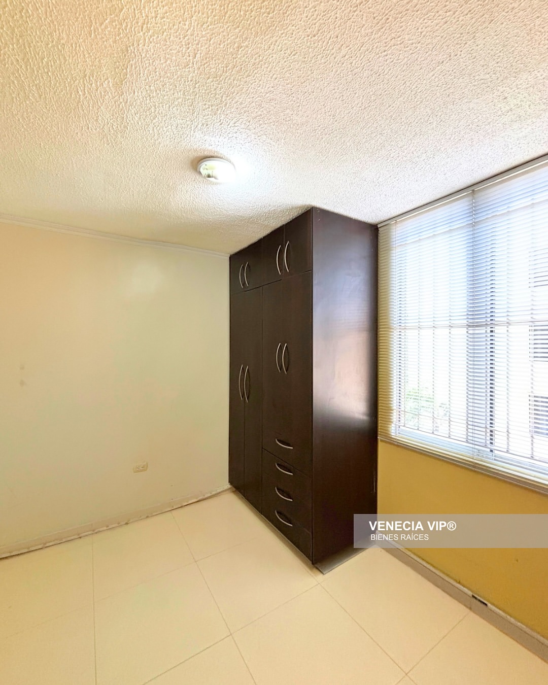 SaveClip.App_484984553_17954998544931594_5665270390766551600_n