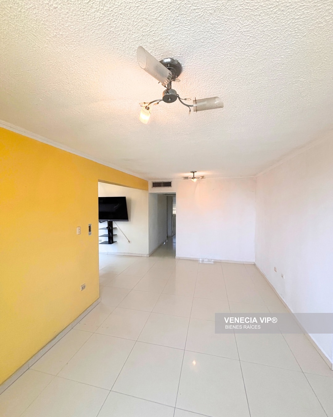 SaveClip.App_485222060_17954998505931594_5838533091771563506_n