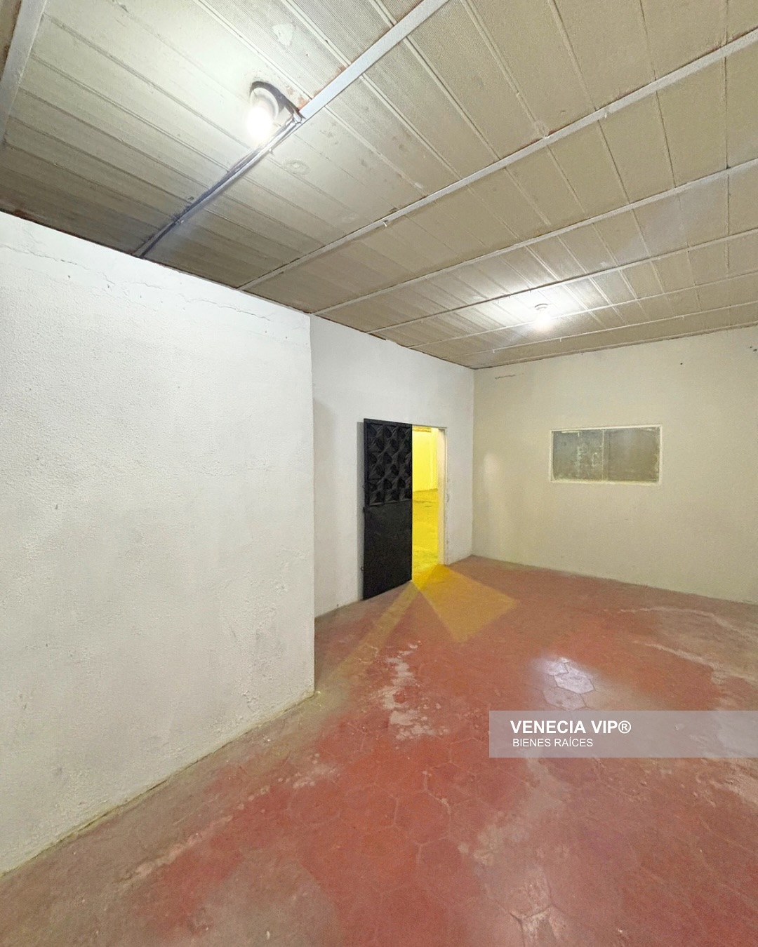 SaveClip.App_486577572_17956134737931594_3747060633468481851_n