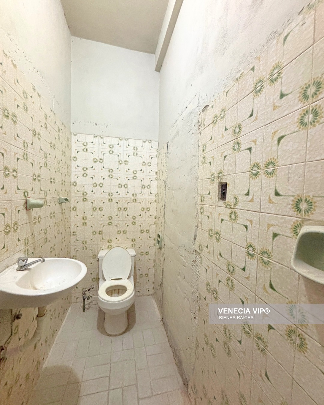 SaveClip.App_486595048_17956134764931594_184316128060863028_n