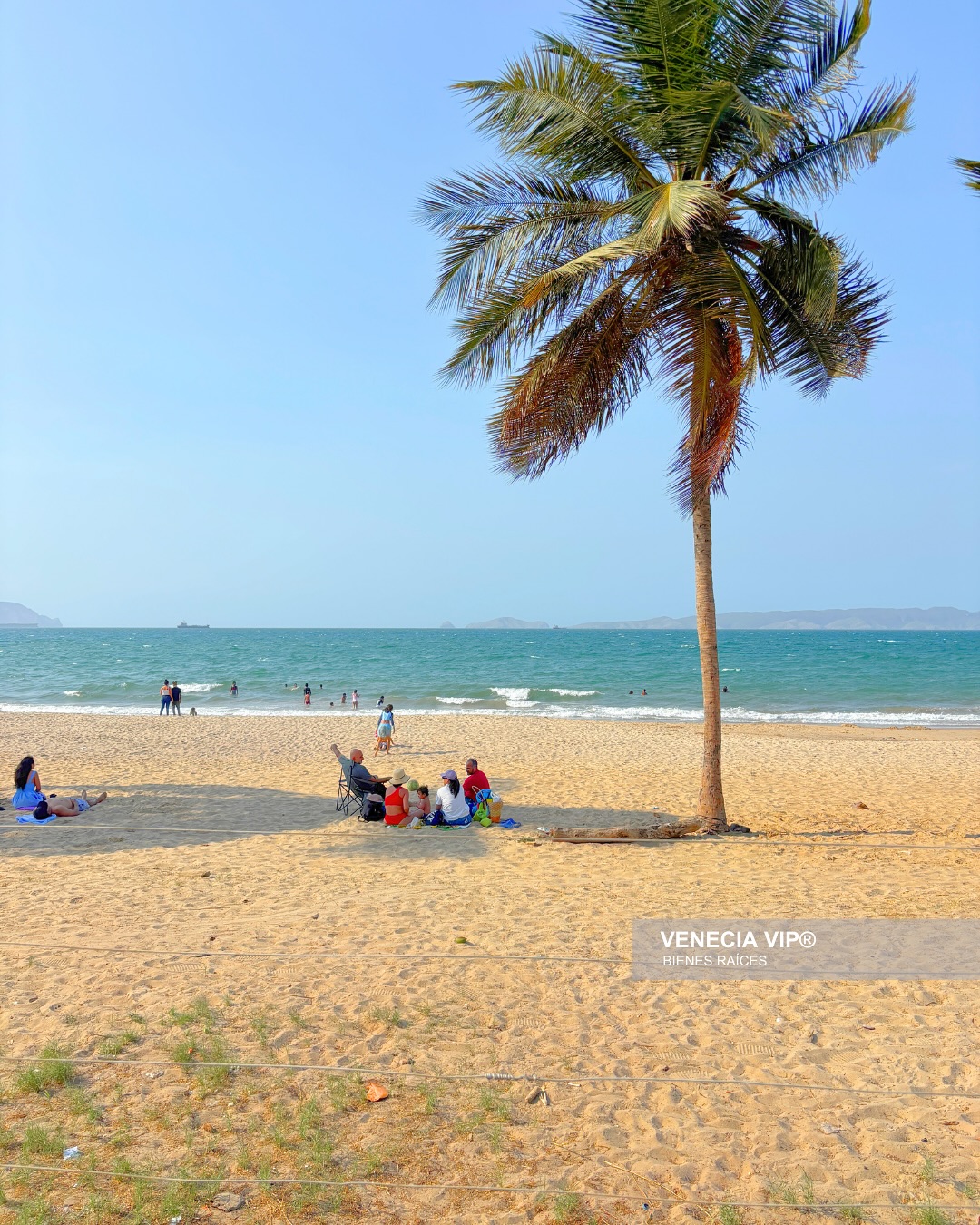 SaveClip.App_491441533_17958088547931594_710780006856619055_n