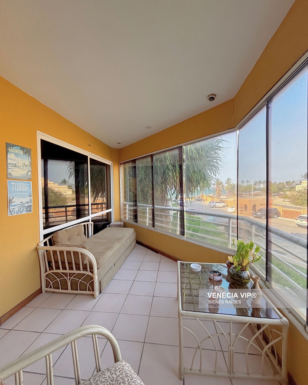 SaveClip.App_491442630_17958088535931594_4615871591489356138_n