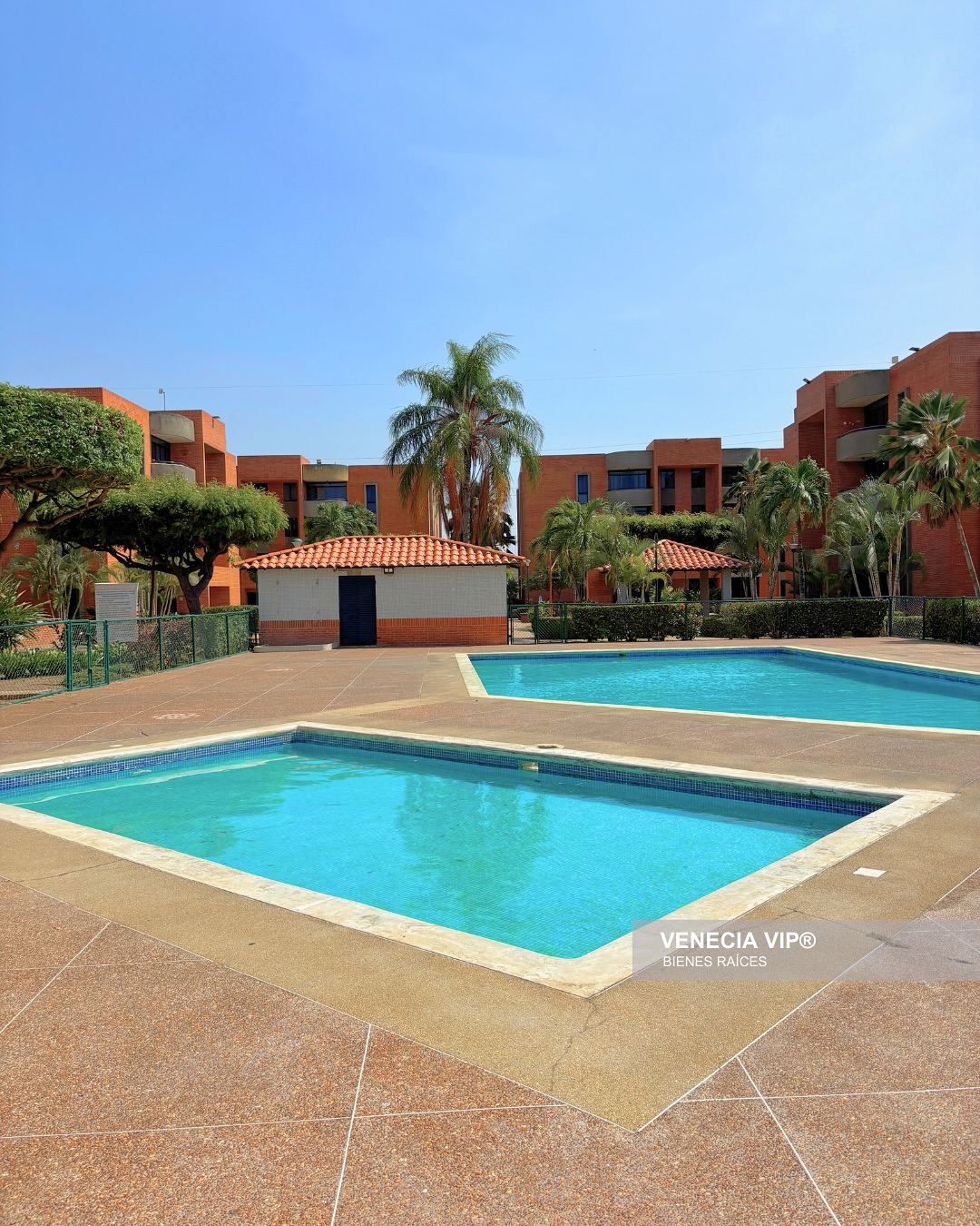 SaveClip.App_491502565_17958716909931594_8123884613676021686_n