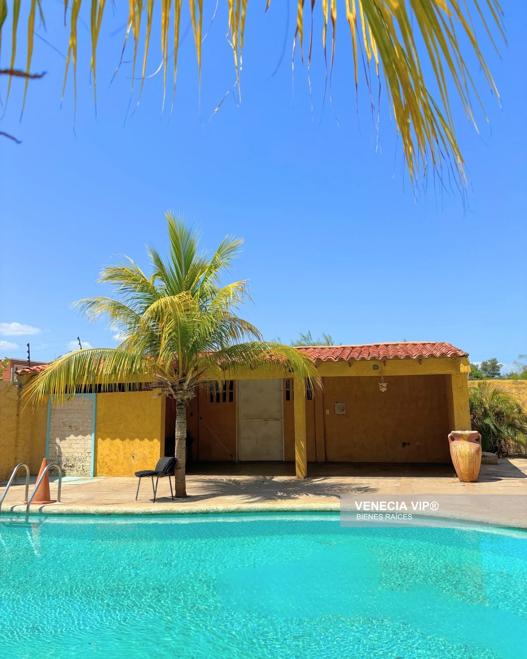 SaveClip.App_491508806_17958092273931594_3327096271036316997_n