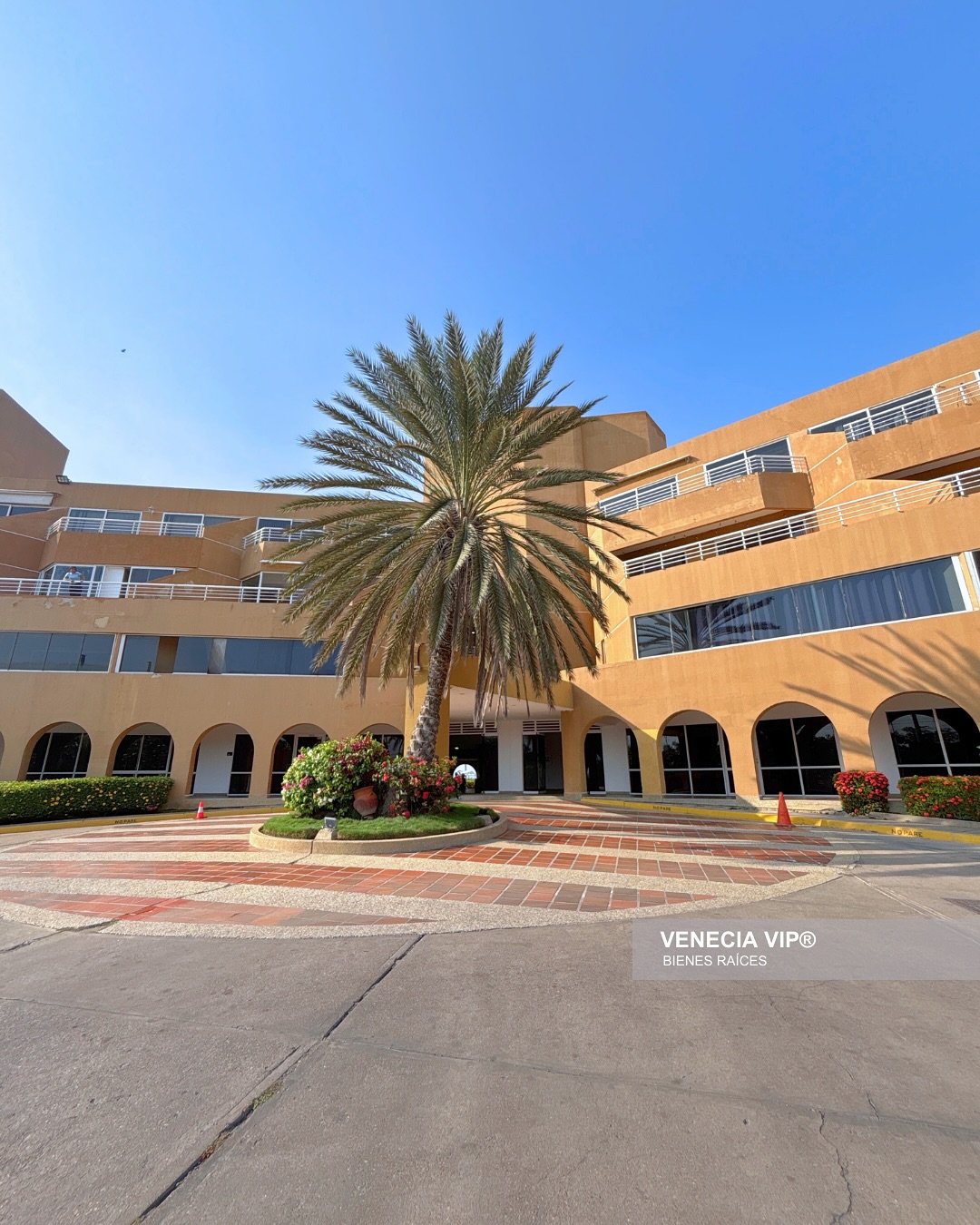 SaveClip.App_491519123_17958088556931594_8434208976871347372_n