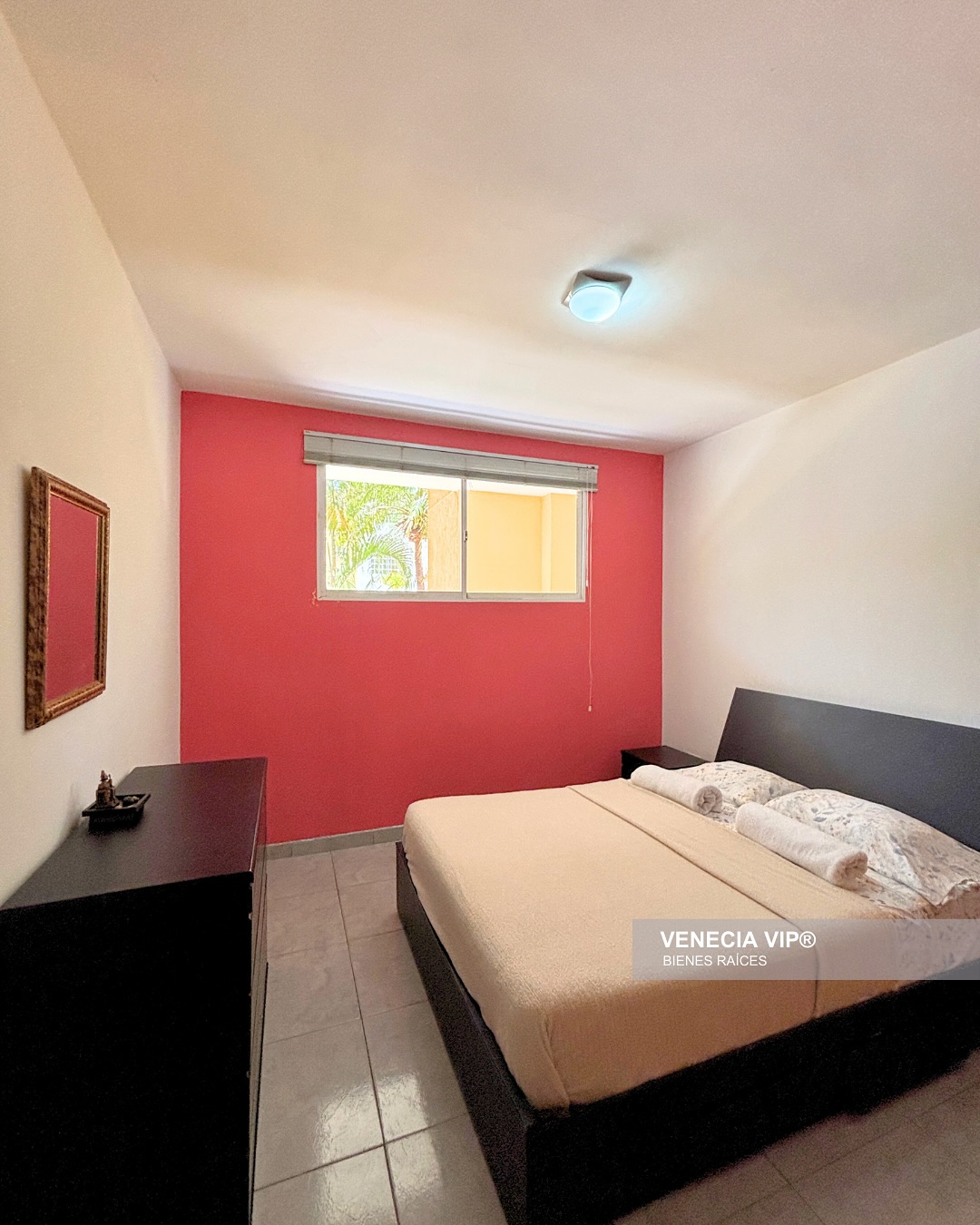 SaveClip.App_494649947_17959626641931594_6898353687230070911_n