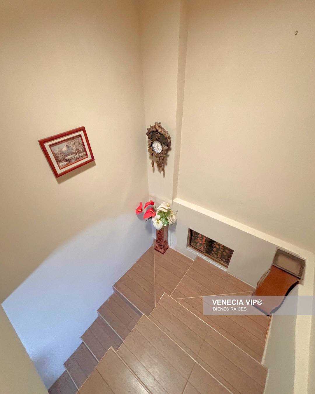 SaveClip.App_496782130_17960744840931594_3952596329925300499_n