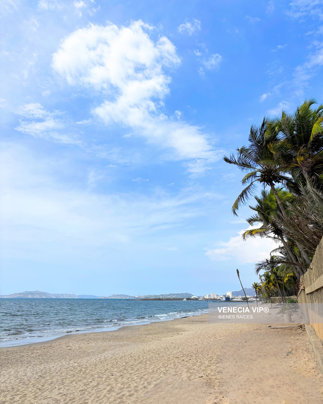 SaveClip.App_496821614_17960744858931594_6827634826800069710_n