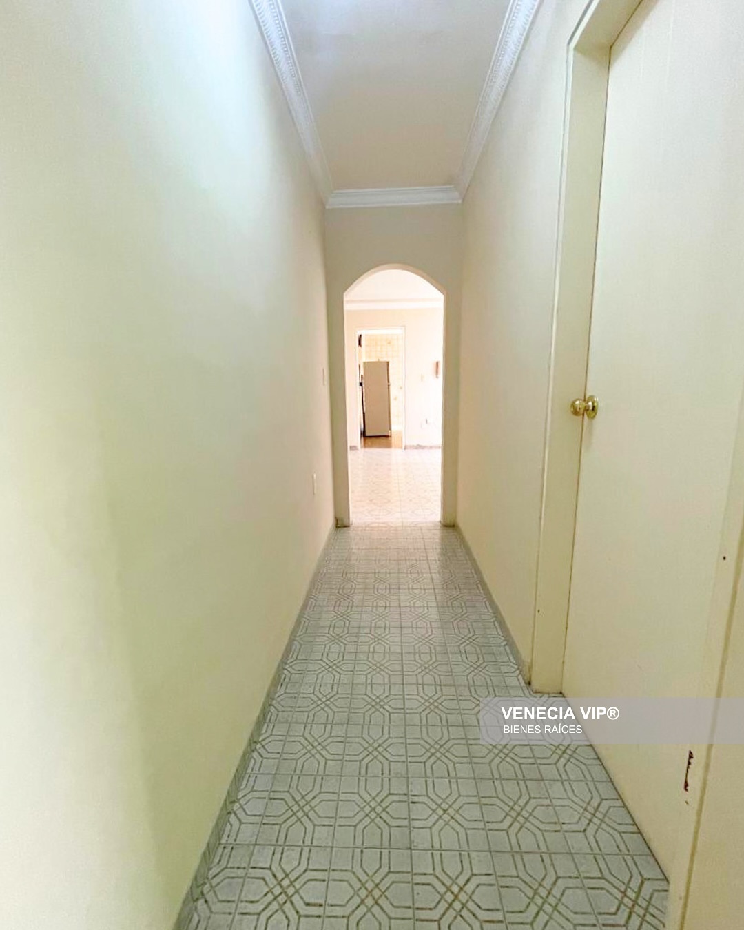 SaveClip.App_497345688_17961301214931594_7177706445823214620_n