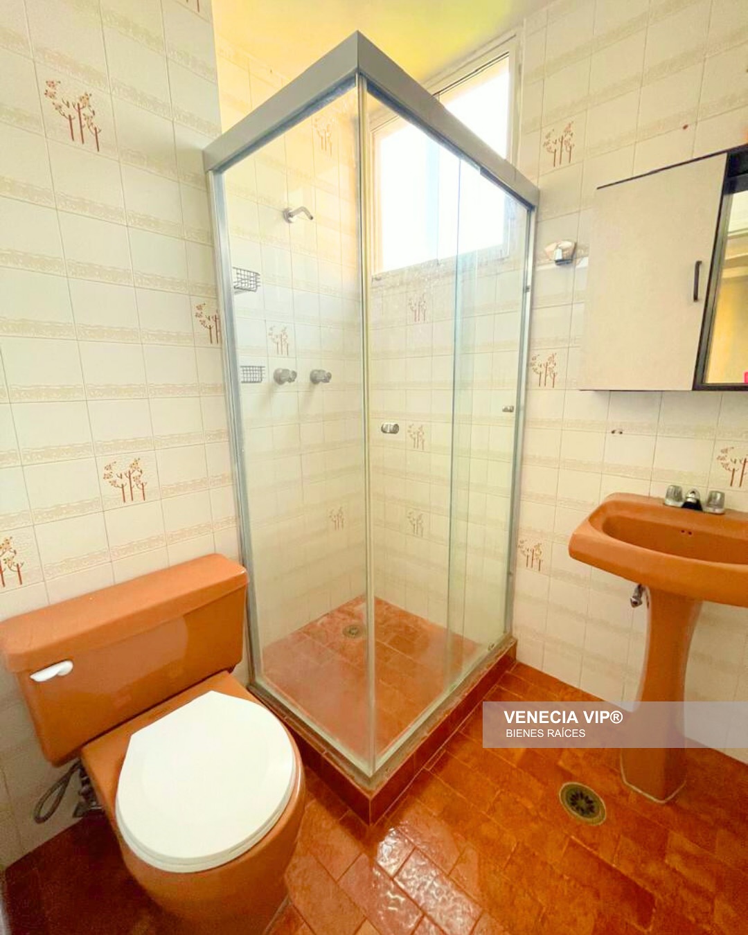 SaveClip.App_497897784_17961301223931594_5328143801221142230_n