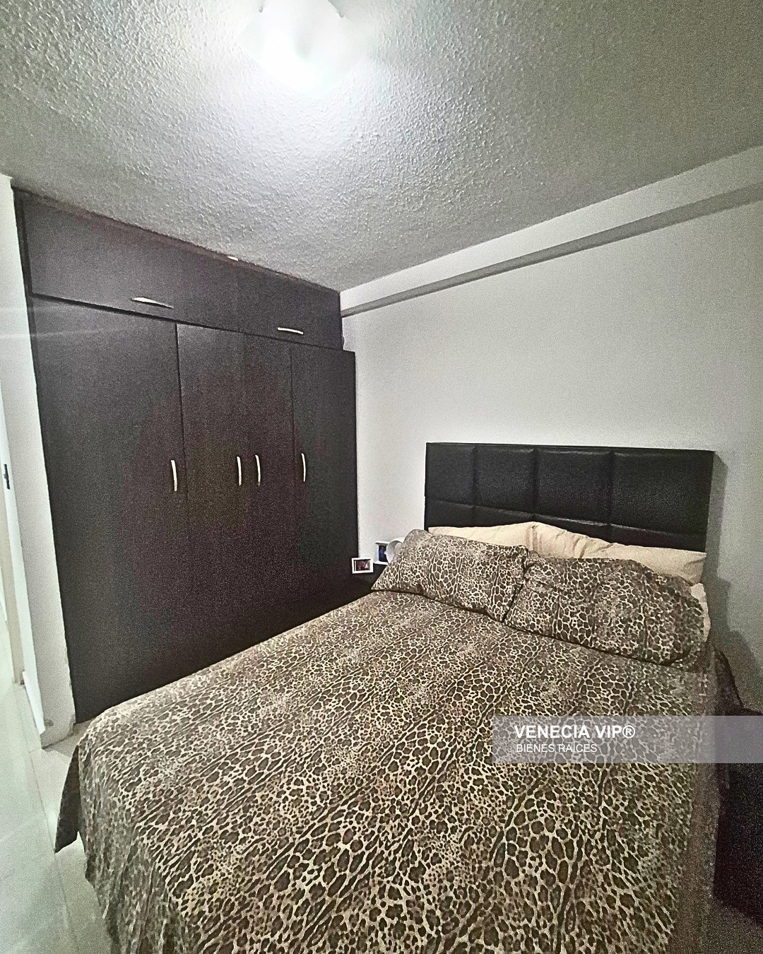 SaveClip.App_503309452_17963703758931594_8449924974655651861_n