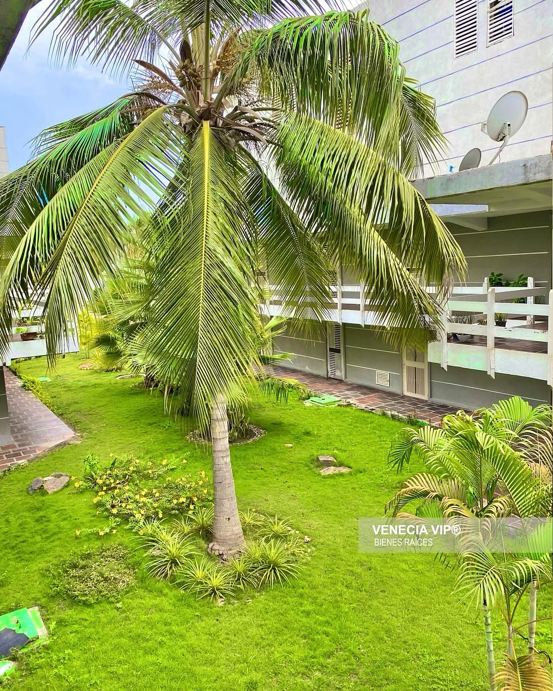 SaveClip.App_503421272_17963589773931594_3860402592903487292_n